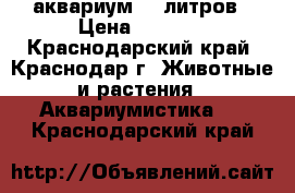 аквариум 70 литров › Цена ­ 3 900 - Краснодарский край, Краснодар г. Животные и растения » Аквариумистика   . Краснодарский край